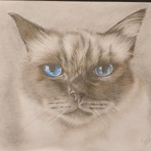 Blue Eyes