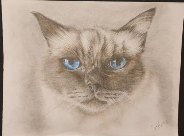 Blue Eyes