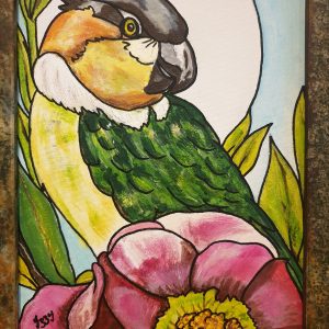 Conure Parakeet