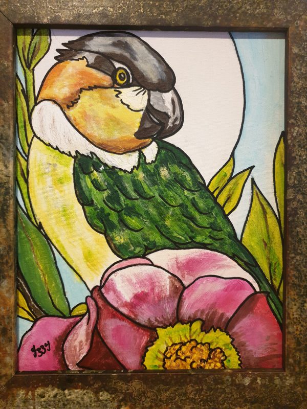 Conure Parakeet