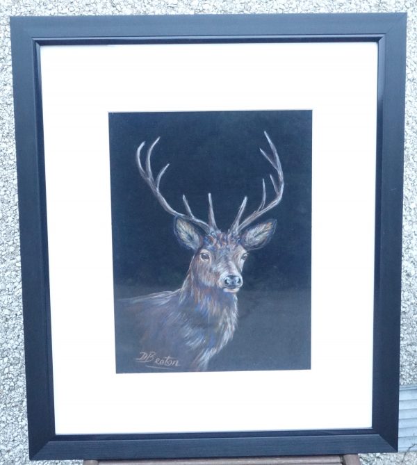 Handsome Buck