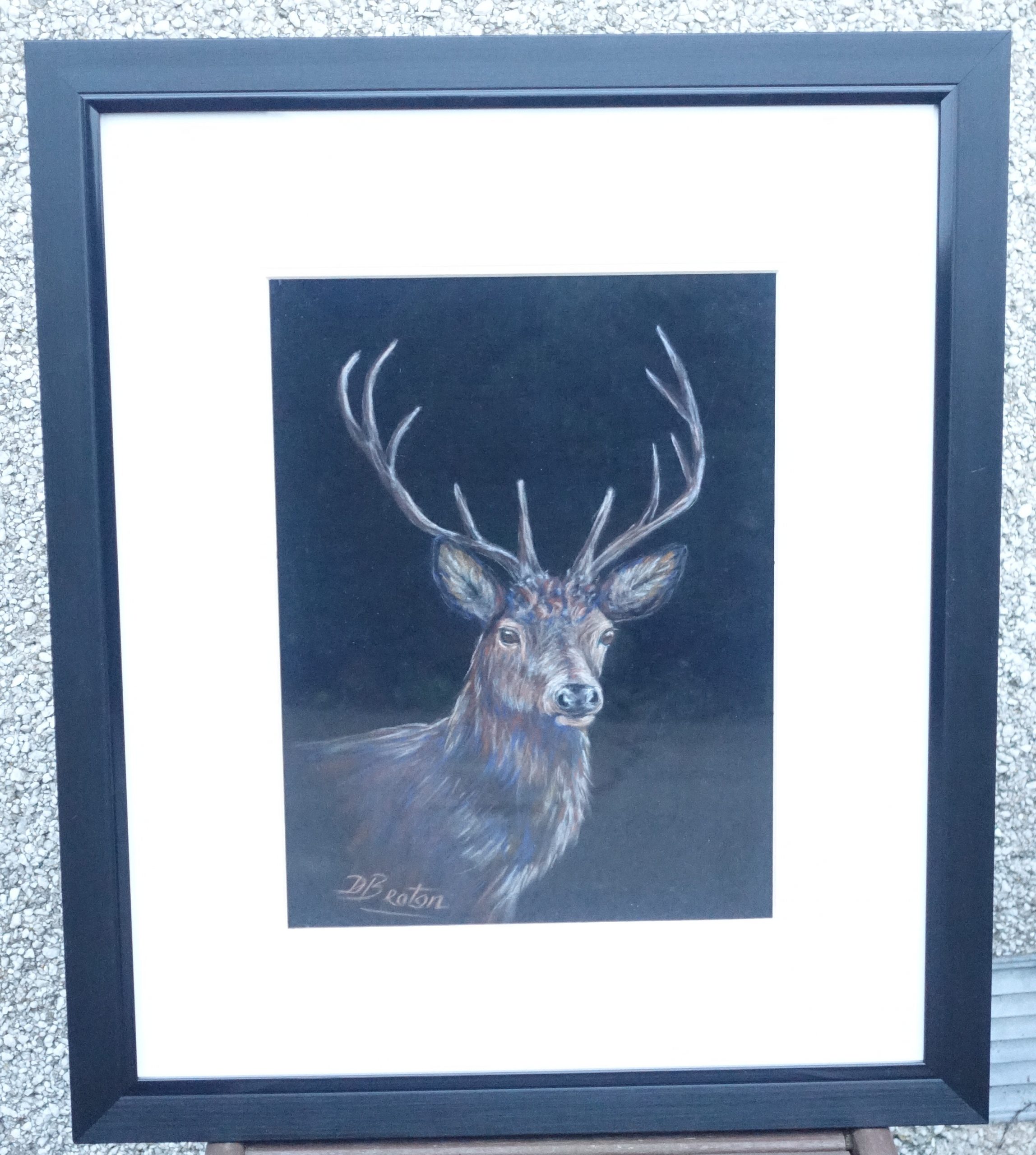 Handsome buck
