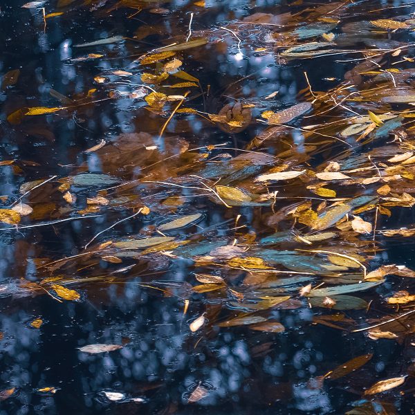 Hidden Depths