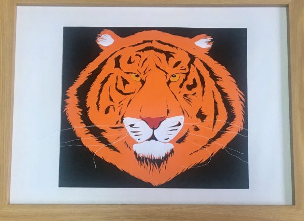 King in Orange and Black