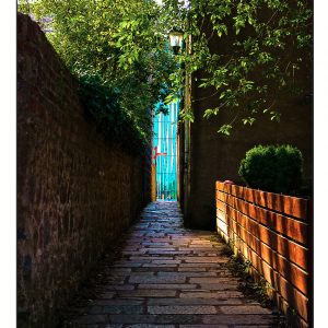 Path to Knowledge
