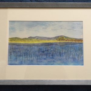 Reed Loch
