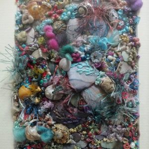 Rock Pool Shells