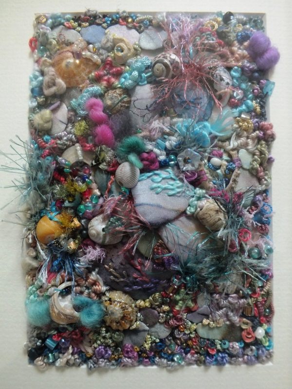 Rock Pool Shells