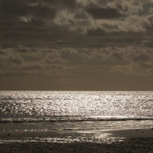 Silver Sea