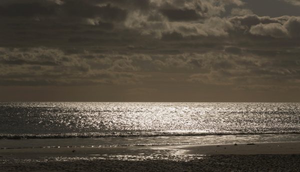 Silver Sea