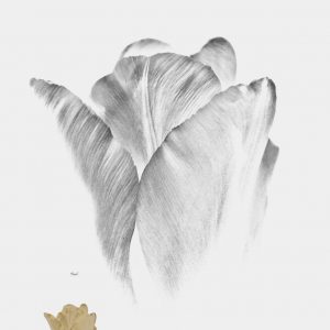 Spiritual Tulip Creation