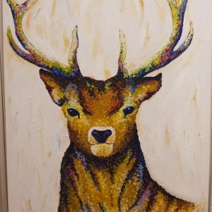 Stag in Sunset