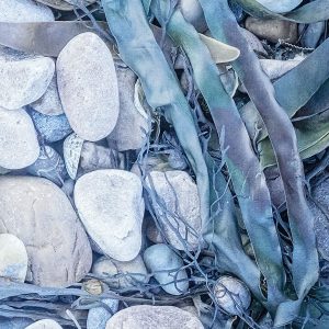 Tread Softly