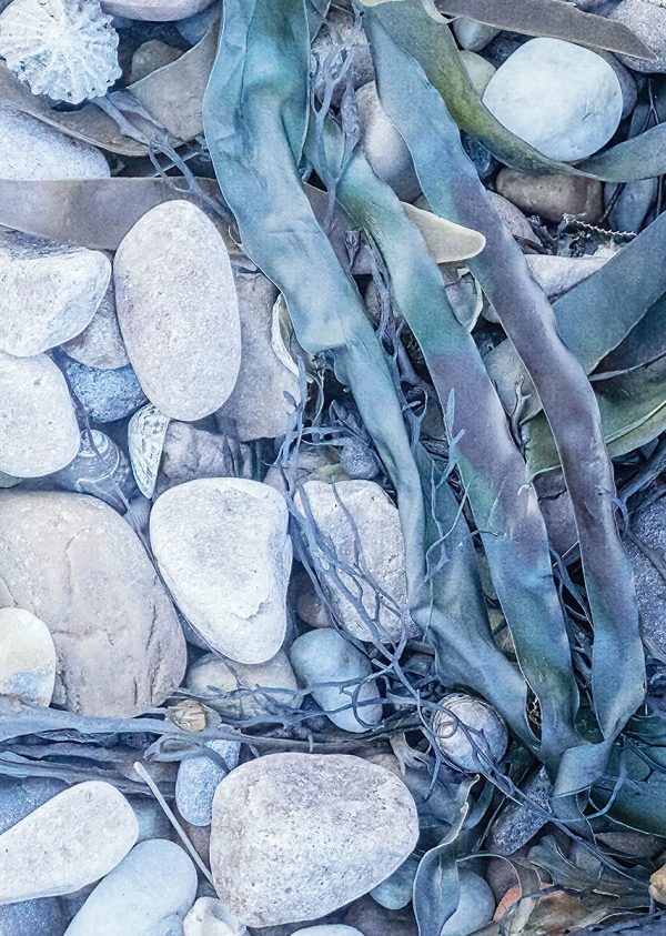 Tread Softly