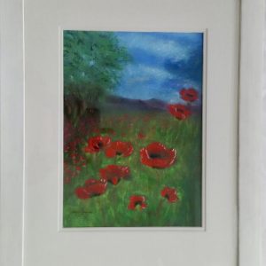 Wild Poppies