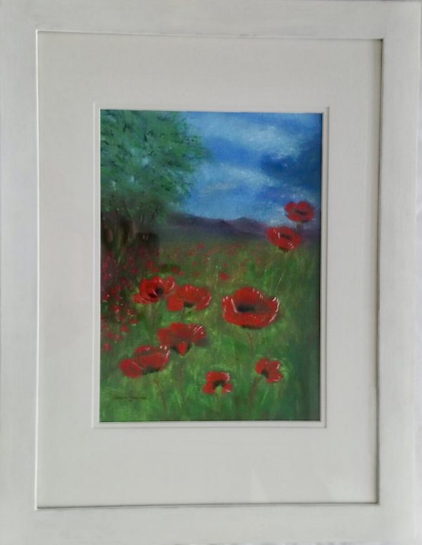 Wild Poppies